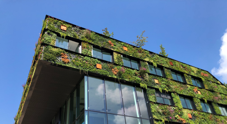 JW unsplash Unterseite NB