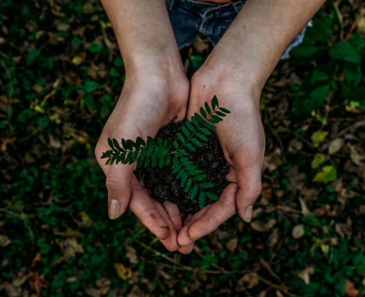 Noah Buscher unsplash NachhaltigesBauen