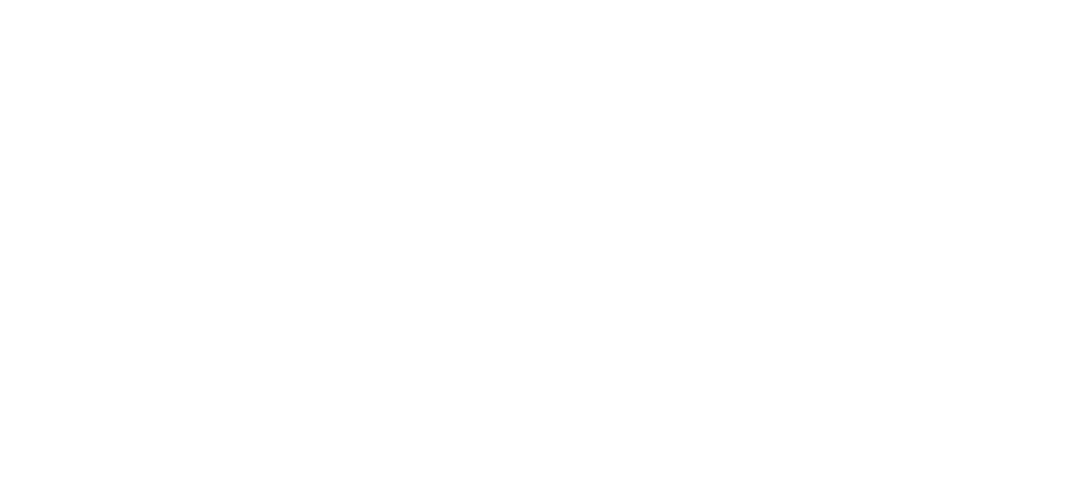nabau CONSULTING Logo Footer